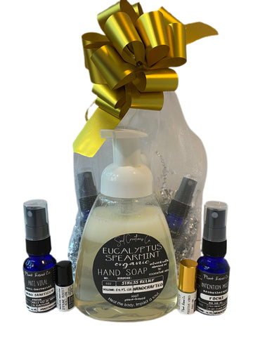 Immune Health Care Package Plant Based Co.